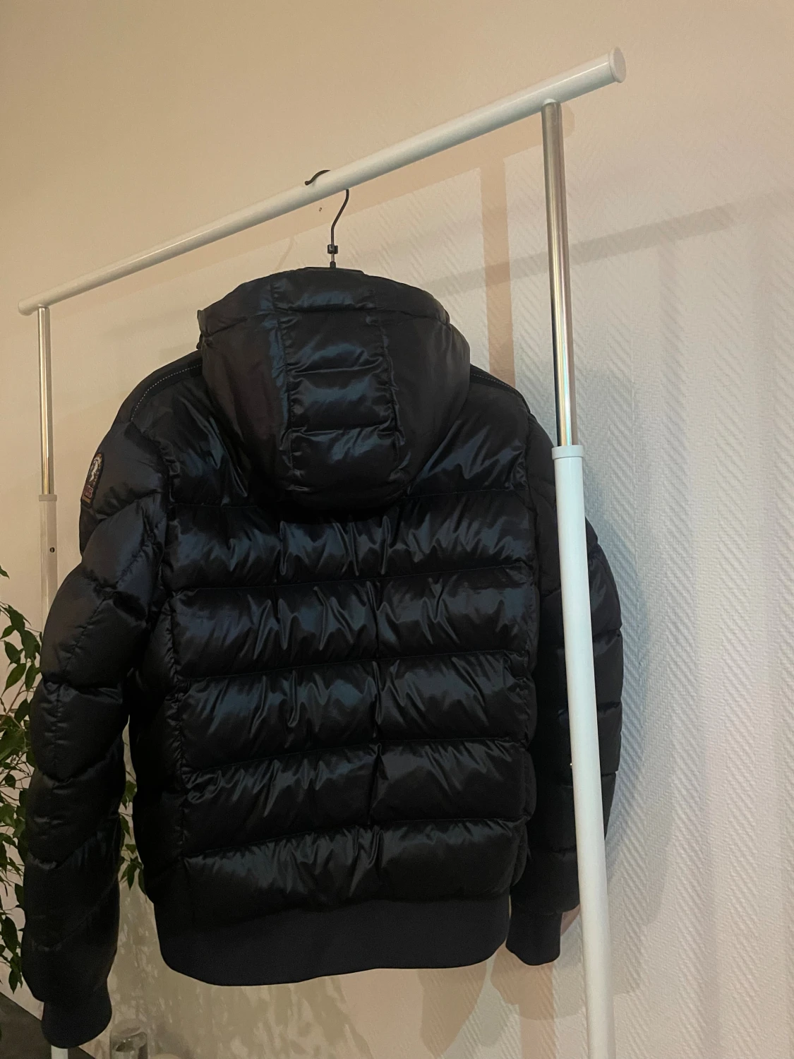 Parajumper Pharrell - 2