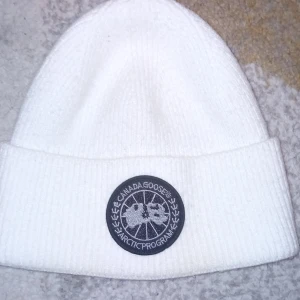 Canada goose  - Den är bra