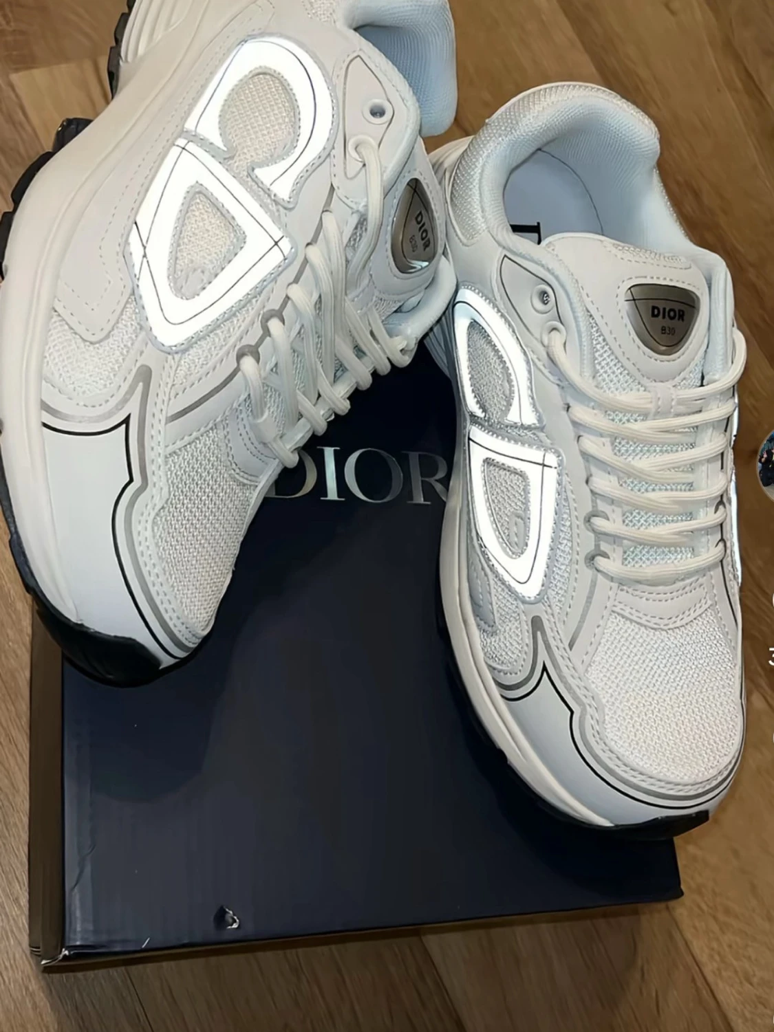 Dior b30