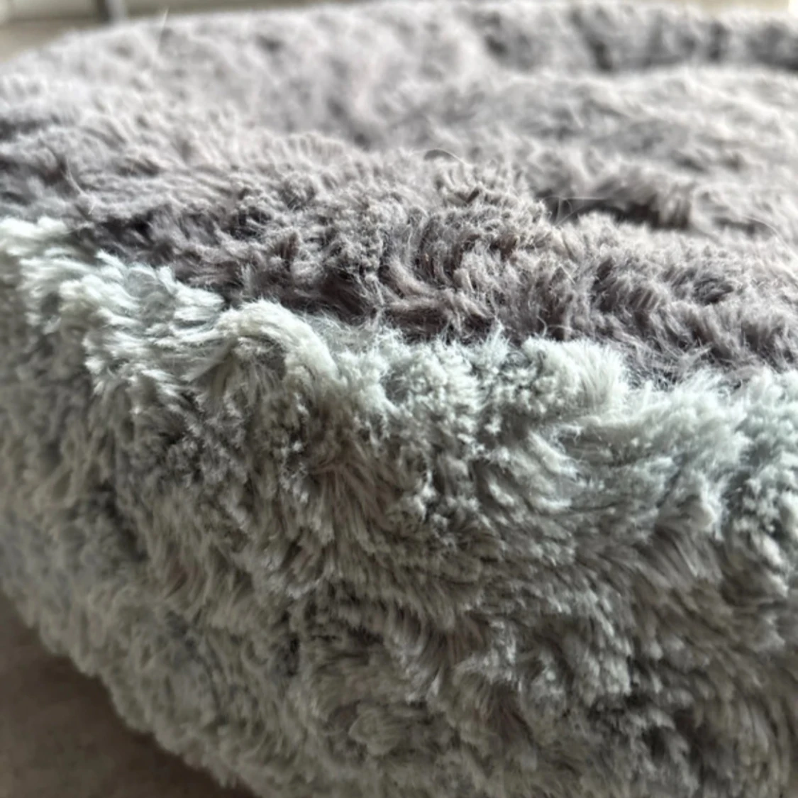 Hundsäng till liten hund  - 4