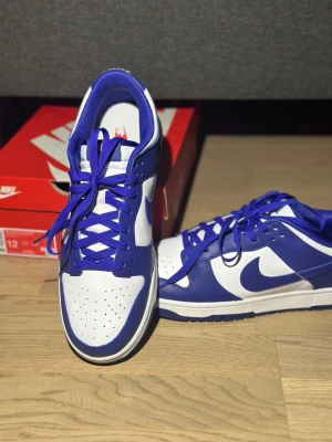 Nike Dunk low retro - Helt enig nya, aldrig använda. Köpta som present men i fel storlek och har gått för lång tid för att lämna tillbaka. 