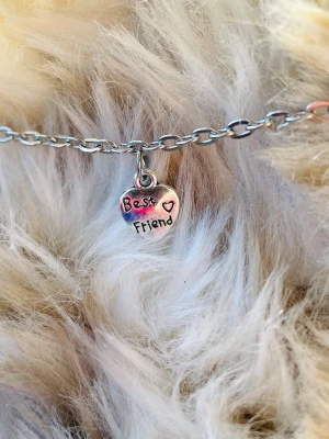 By prisförslag- liten hund/katt halsband silvrigt best friend  - Passar en liten hund eller katt