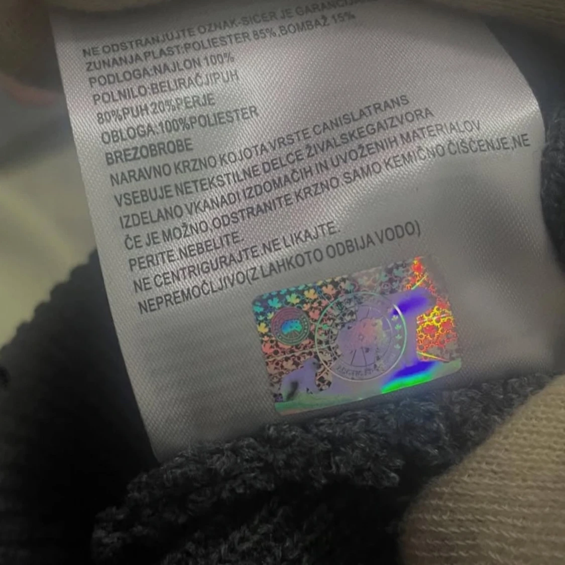 Canada Goose vintermössa  - 1