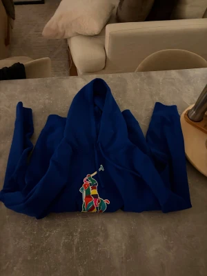 Ralph lauren hoodie - Hej säljer nu en väldigt sällsynt tröja med nypris vid 2300 jag har knappt använt den max 10 gånger köpt i vintras den är i storlek S för mer bilder kom privat så skickar jag den sitter bra på mig som är 180 och väger ca 60