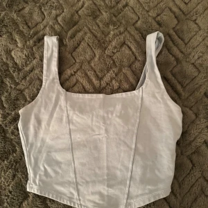 Ljusblå korsett-topp från Gina Tricot - Säljer en ljusblå korsett-topp från Gina Tricot i storlek S. Toppen har breda axelband, croppad passform och markerade sömmar framtill som ger en snygg siluett. Materialet är mjukt och stretchigt, perfekt för att styla med jeans eller kjol.