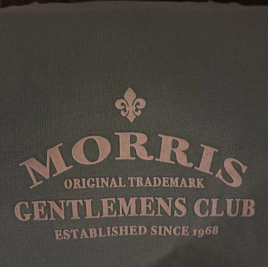 Mintgrön sweatshirt från Morris - 2