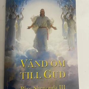 Vänd om till Gud - En bok med ett himmelskt omslag där änglar och ljus omger en central gestalt. Perfekt för dig som är nyfiken på tro, andlighet och vill utforska livets stora frågor ur ett religiöst perspektiv.