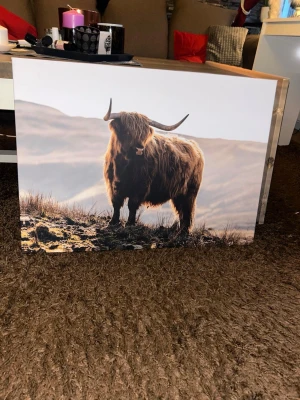 Tavla 50x70 - En väldigt fin tavla med mått 50x70