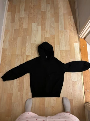 Kommer från Sheln  - En Troja från Sheln väldigt fin men mycket hundhår på 