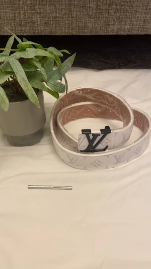 Bälte - Kan inte beskriva mycket eftersom det kan bli blockerar kom pv istället!