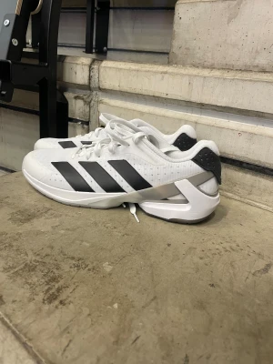 Adidas adizero counterblast - Tja. Jag säljer ett par helt nya adidas handbollskor. Det är den nyaste modellen som adidas har släppt. Det är väldigt lätta skor. Dom är aldrig använda och inköpta på handbollshopen. All orginalt finns kvar. Nypris är 1649