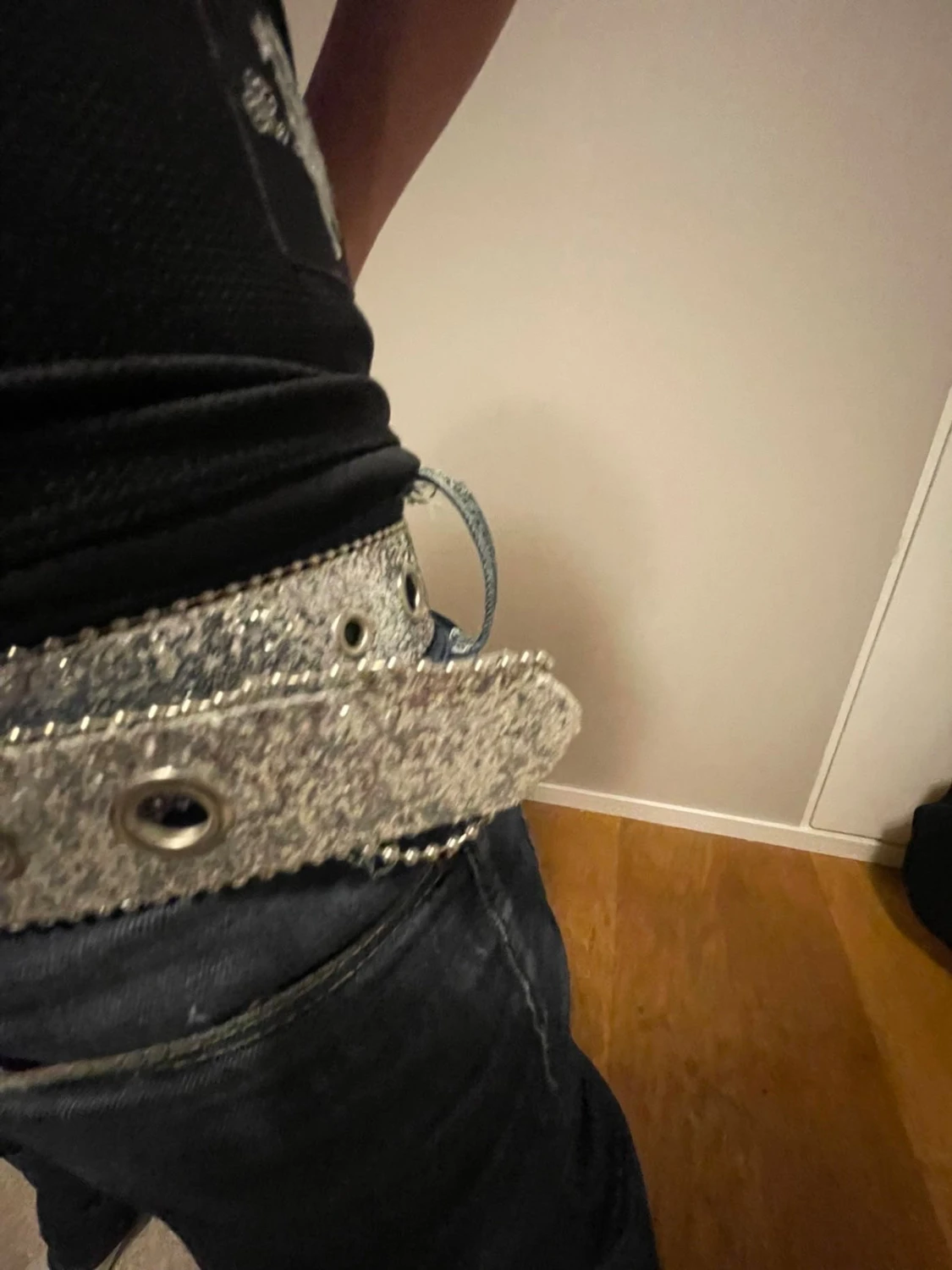 Glittrigt silverbälte - 2