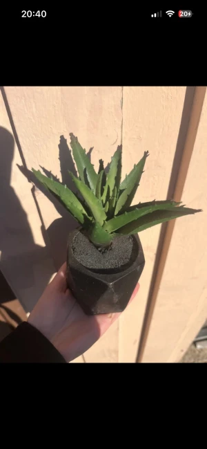 Konstgjord växt  - Konstgjord växt aleovera superfin 