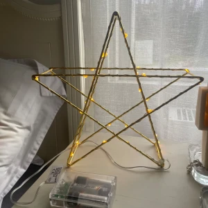 Ljus stake prydnad  - Går på batterier 