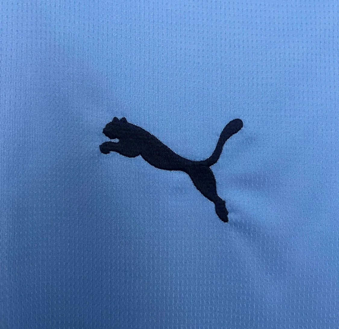 Manchester City Puma matchtröja blå - 3