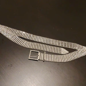 Strass skärp - Fint glittrande skärp. Passar storlekar upp till L gissar jag på