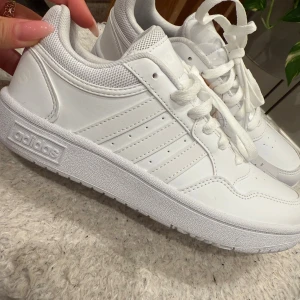 Vita adidas skor - Helt nya oanvända skor. Sälj orsak: Fel storlek  Med inspiration från klassiska basketmodeller är de här adidas-skorna ett mångsidigt tillskott till din samling. Den låga siluetten, ovandelen i syntetläder och tåhättan i mocka gör dem lättburna. Koppsulan i gummi hämtar designinspiration från klassiska basketstilar.