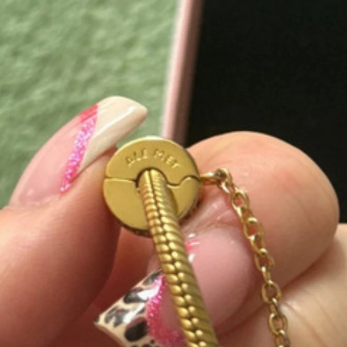 Säkerhetskedja Pandora - 2