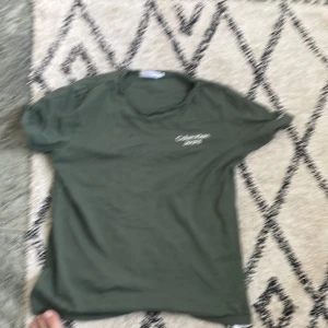 Grön t-shirt från Calvin Klein Jeans - Säljer en snygg grön t-shirt från Calvin Klein Jeans. Den är i storlek 14 och har en enkel men stilren design med korta ärmar. Perfekt för vardagsbruk eller en avslappnad dag ute. T-shirten är i bra skick och väldigt bekväm att ha på sig.