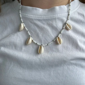 Snäck armband - Finns i olika storlekar runt halsen 