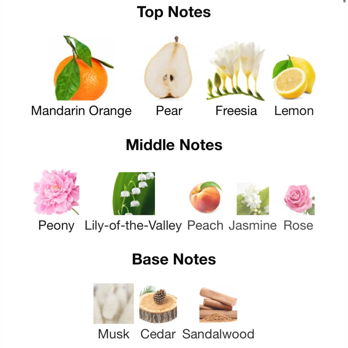 ELLE L’Edition parfym - 90