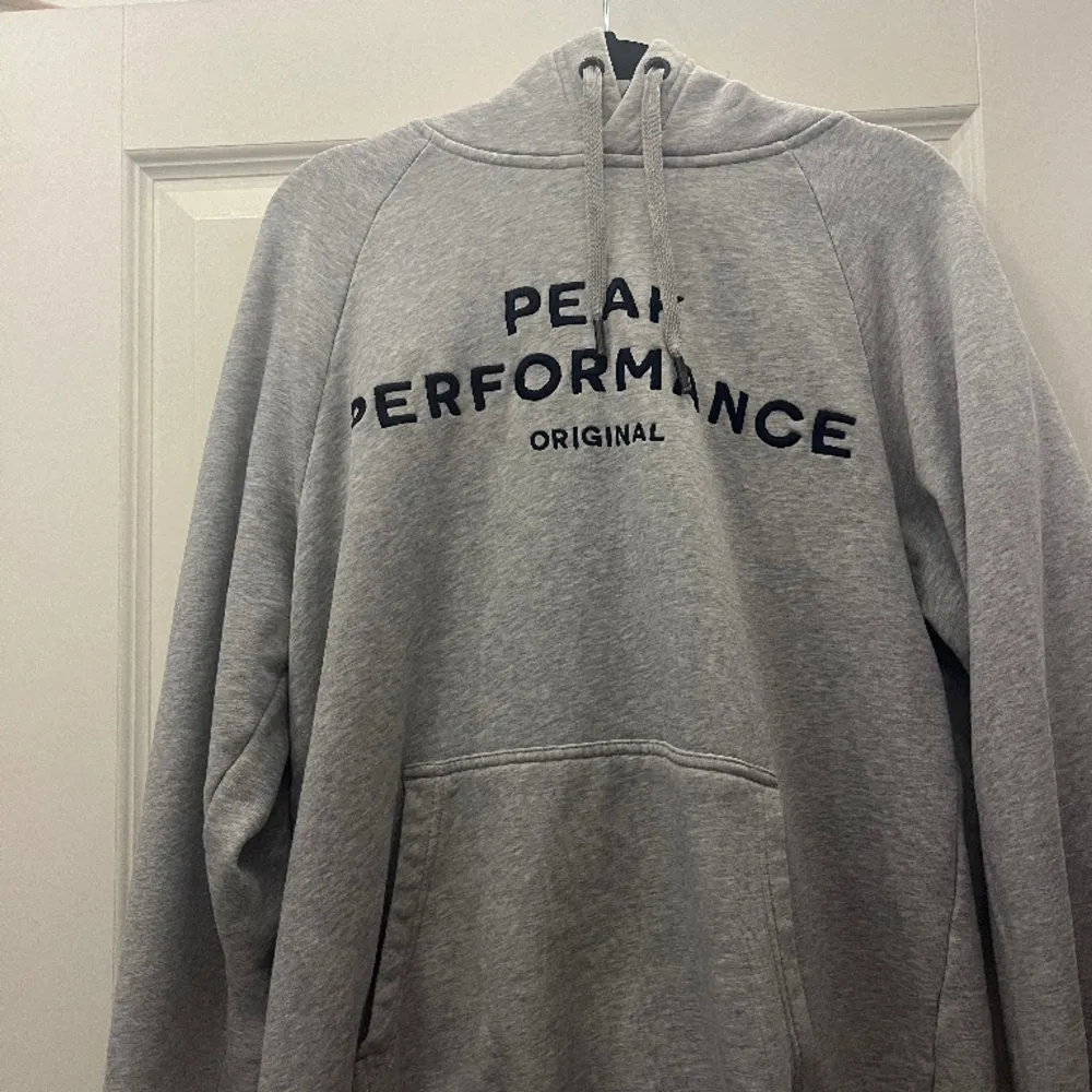 Grå Peak performance tröja i storlek L men passar även M. Hoodies.