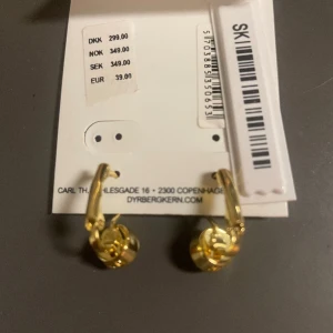 Örhängen - Helt nya örhängen, aldrig använda. Nypris 349kr säljer för 210