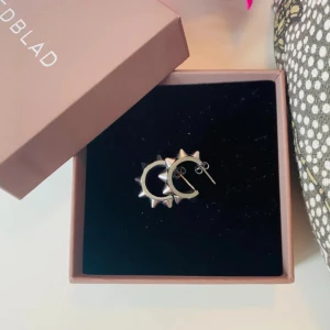 Edblad örhängen - inga defekter