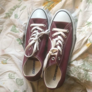 Converse Skor - Helt nya converse skor, ny köpta icke använda. Helt rena har knappt rört dem. 