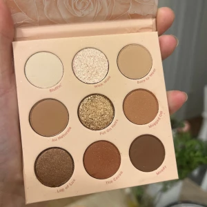 Ögonskuggspalett - Säljer en oanvänd palett som jag har köpt i Usa på Ultra.  