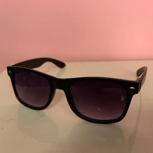 Solglasögon  - Solglasögon i Wayfarer modell, mattsvart färg 