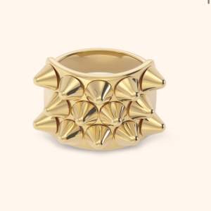 Säljer denna guldiga Edblad ringen i storleken 19,5 mm💛Är knappast använd💘Skriv för bilder