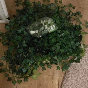 Plast växt  - Massor med plast vains, väldigt fina, vissa med blommor😁75kr för allt, priset går att diskutera vid snabb affär 
