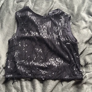  Paljett tröja  -  Den är från Lindex använd bara en gång på ett bröllop, kort nästan som magtröja. 