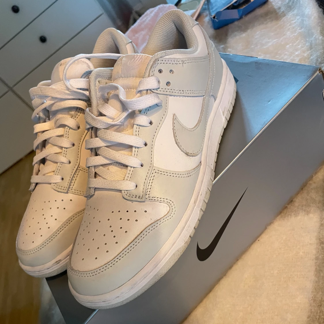 Nike Dunks storlek 42,5 - 93