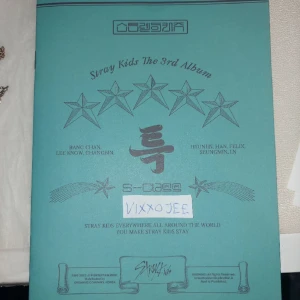 Straykids  - Straykids photobook sak. Alla sidor kvar, grön ver. Stan skz! 