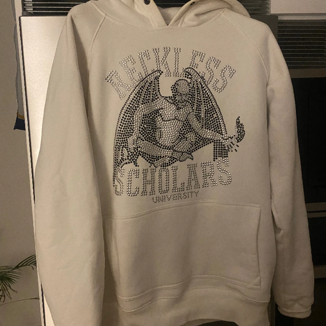 Reckless Scholars Hoodie
