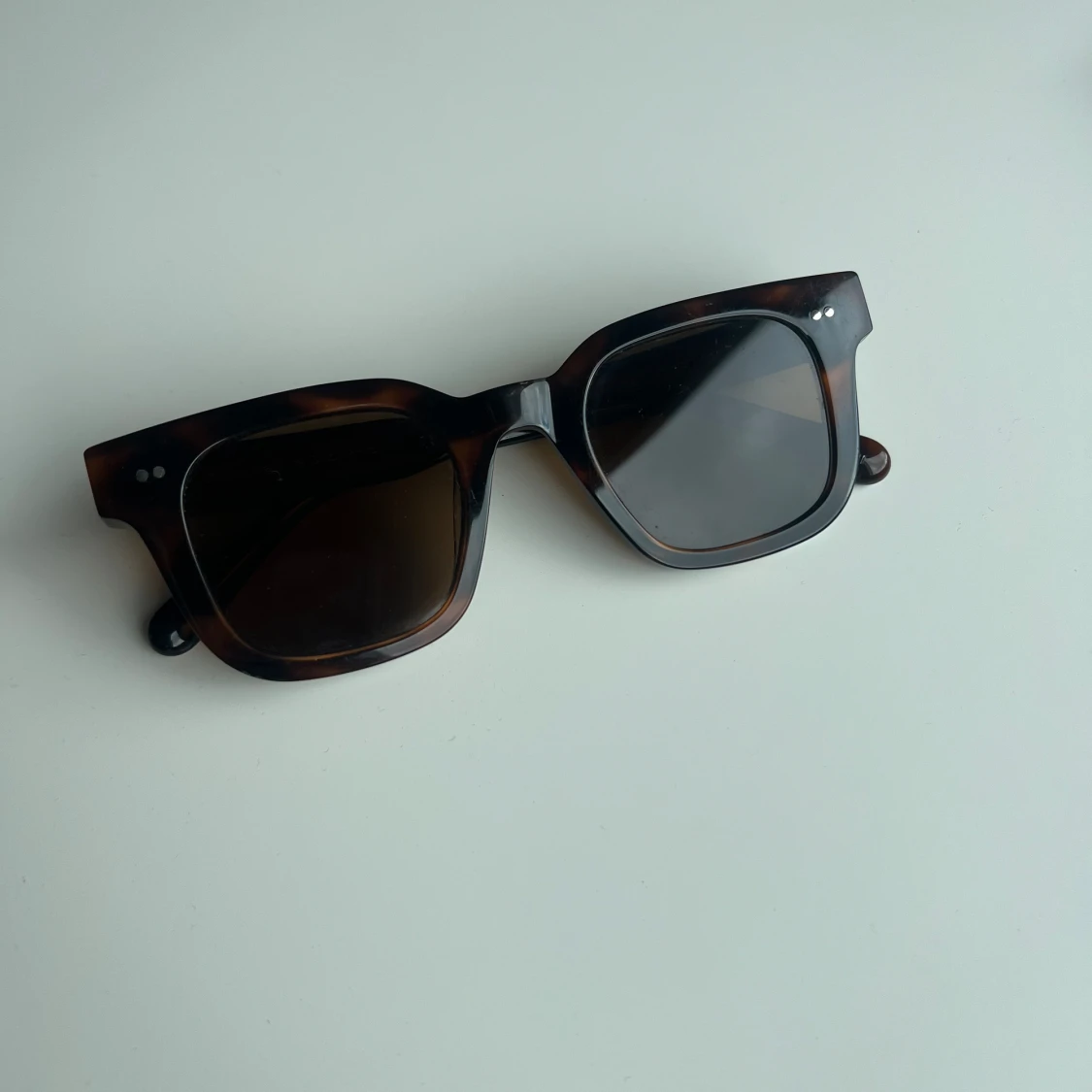 CHIMI 04 tortoise - 92