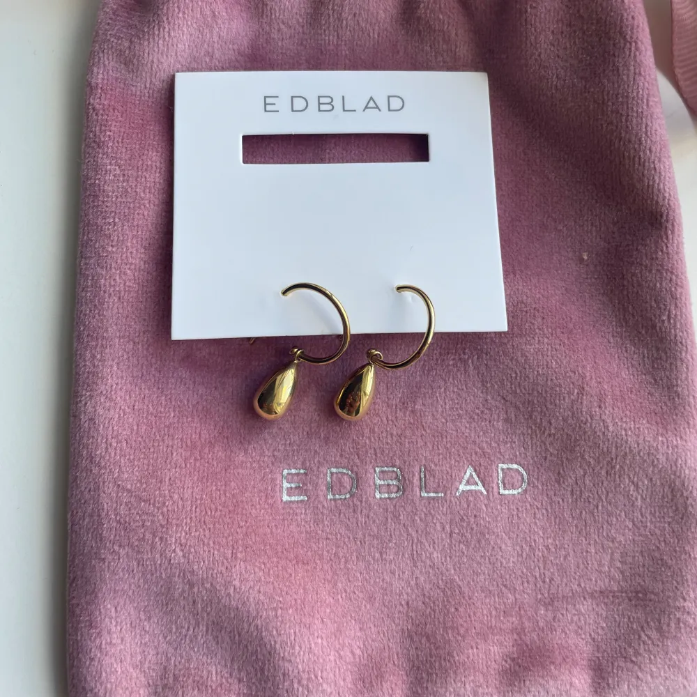 Säljer dessa super fina örhängen från Edblad, ny pris  349kr🫶🏻. Accessoarer.