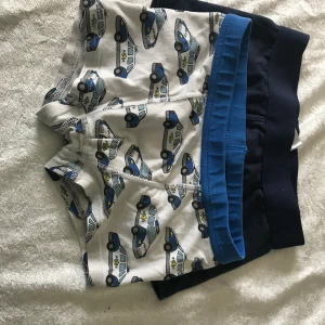 2st Barn Shorts  - Stlk 86/92 