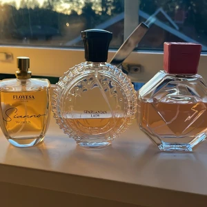 Parfymer - Säljer dessa parfymer från dollarstore och rusta. Nypris typ 50kr st men säljer alla för 50