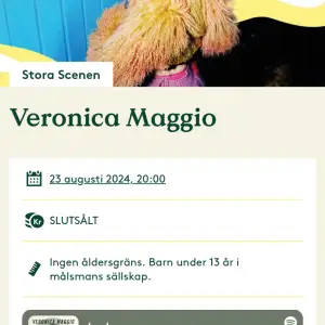 Jag söker 1 eller 2 ståplatser till Veronica Maggios konsert den 23 Augusti på Liseberg!!
