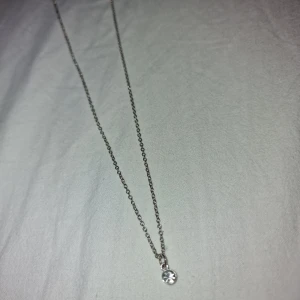 Halsband - Super söt oanvänd halsband, osäker på om det är äkta därmed billig pris🫶🏼