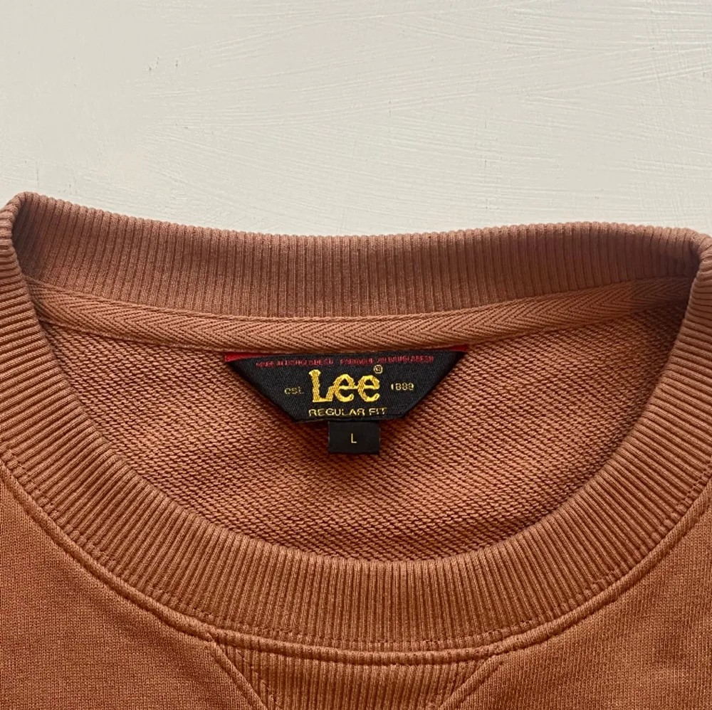 Säljer denna Lee sweatshirt (Orange). Den är helt oanvänd, och befinner sig i ett perfekt skick. Storlek: L. Ursprungligt pris (helt ny): 750 kr. Om ni vill ha mer information är det bara att höra av sig! . Hoodies.