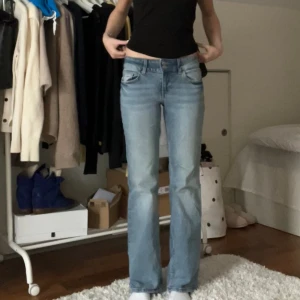 Low waist jeans - Säljer dessa low waisted jeans som är från h&m. Dem är i gott skick och andvända ett fåtal gånger. 💗 Storlek 36 och passar mig bra i längden (173 cm), vid snabb affär 200kr + frakt💗