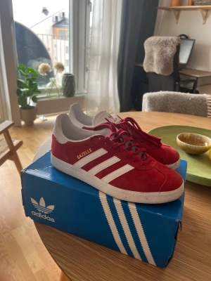 Adidas gazelle 38  - Nästan nya skor 