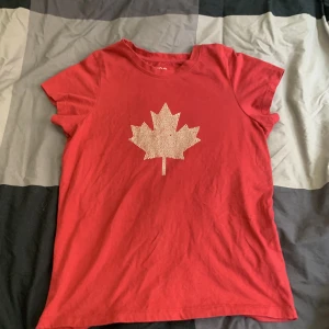 T-shirt - En snygg mer tjej aktig t-shirt med kortare armar och ett snyggt tryck med dimant pärlor. Den är i bra skick förutom att fåtal pärlor har ramlat av 