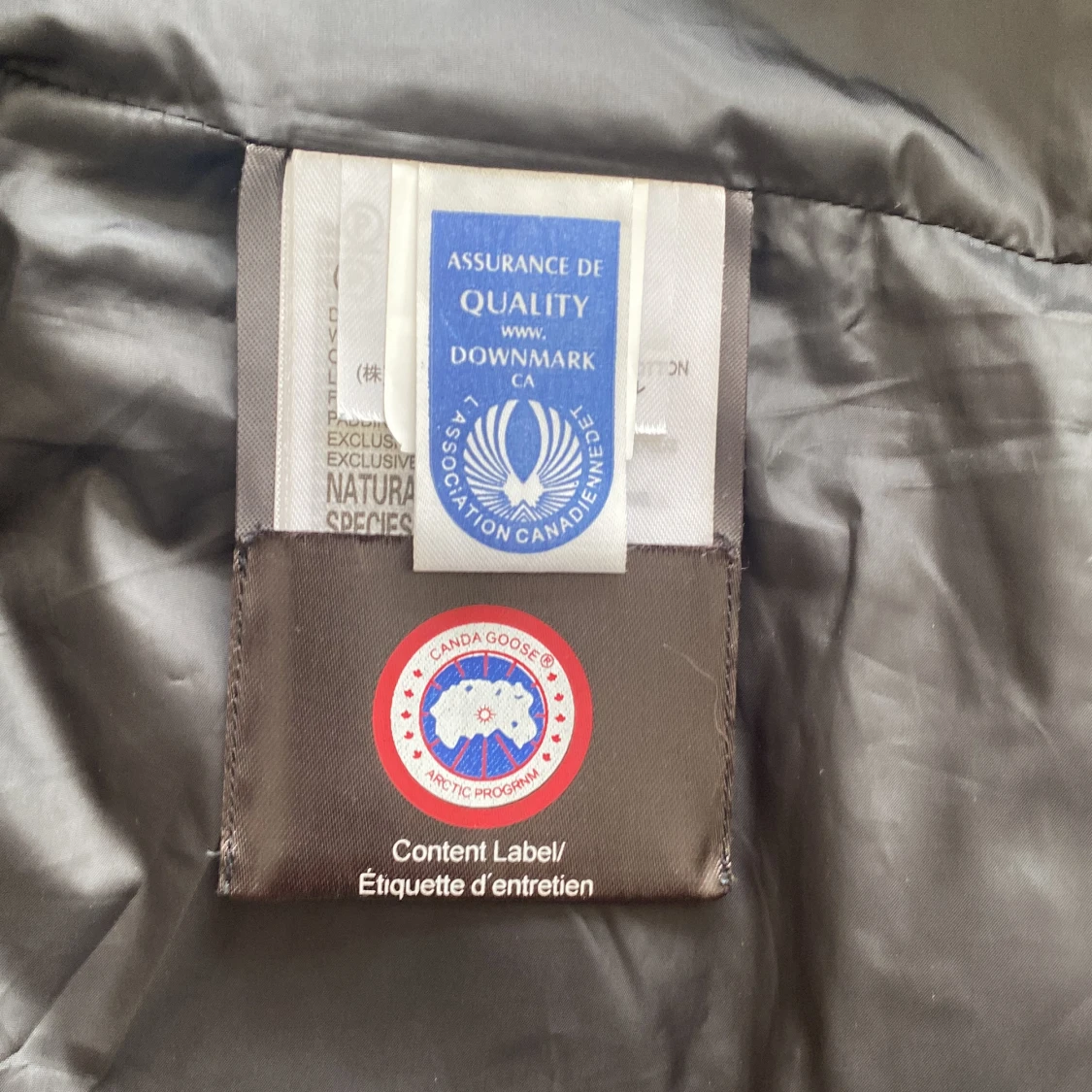 Canada goose väst - 91