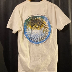 Supreme ”blowfish” Tee - Worn twice, excellent condition. No stains/holes or cracking on the print. 