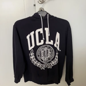  Hoodie   - Använd ganska mycket, lite nopprig men inga hål eller fläckar.